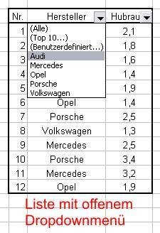 der AutoFilter in Aktion