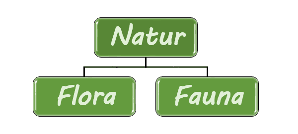 Beispiel: Organigramm