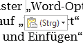 Abbildung: Schaltfläche für Einfügeoptionen