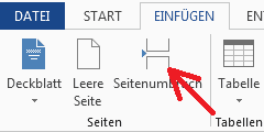 Abbildung: Schaltfläche Seitenumbruch